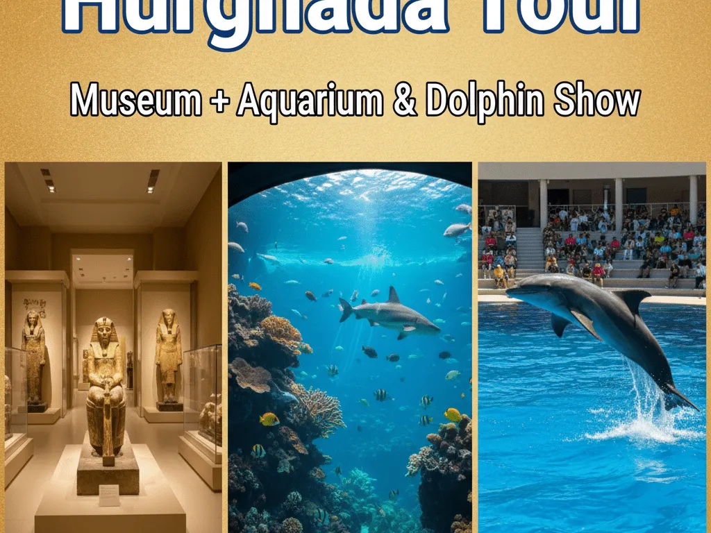 🏛️🐬 Хургада: Музей + Аквариум и Шоу Дельфинов Hurghada-Museum-Aquarium-Dolphin-Show-min.png