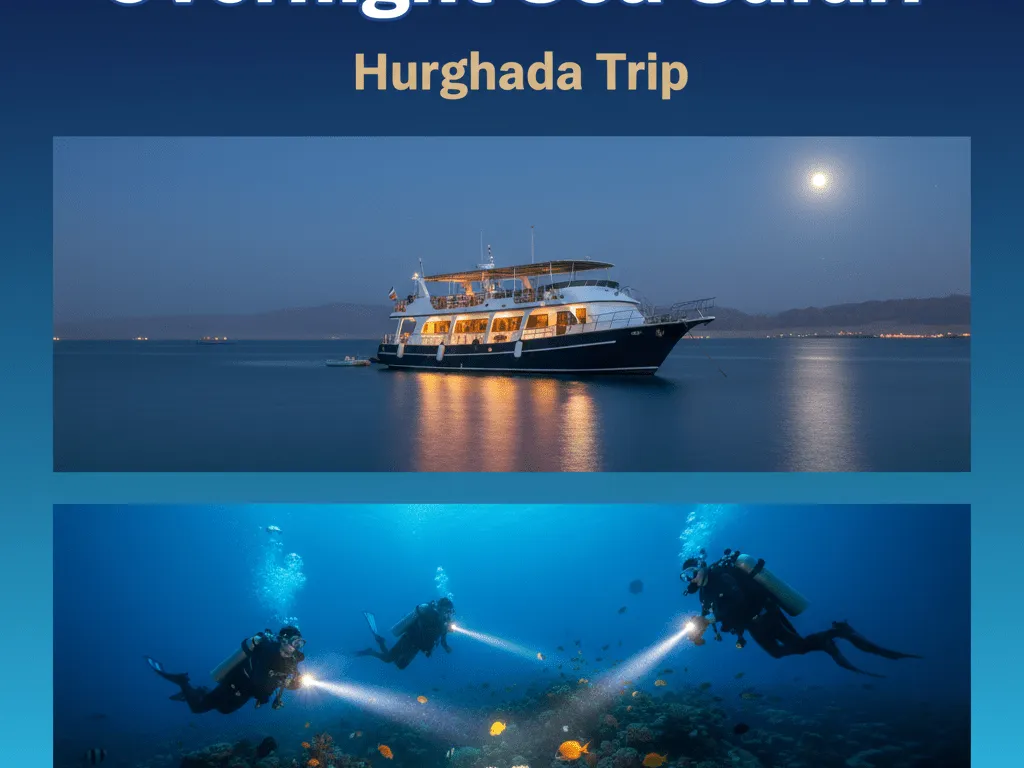 ⛵ Overnight Sea Safari – Hurghada Overnight-Sea-Safari-Hurghada.png