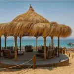 🏝️ OZIREA ISLAND