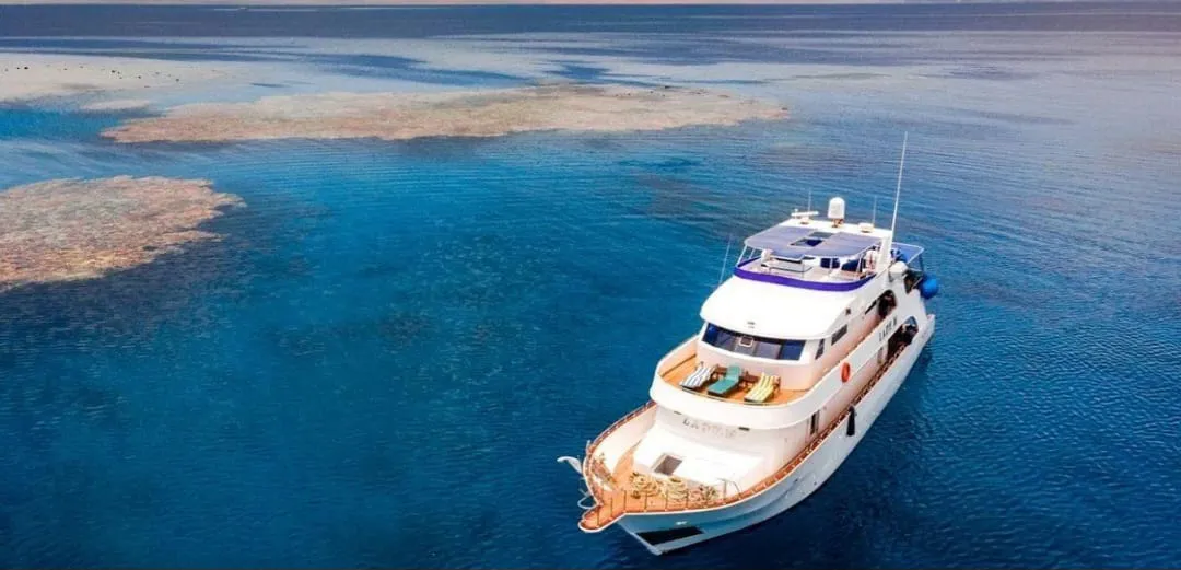 🪸✨ Hamata Islands Snorkeling Trip – Marsa Alam 🏝️🌊