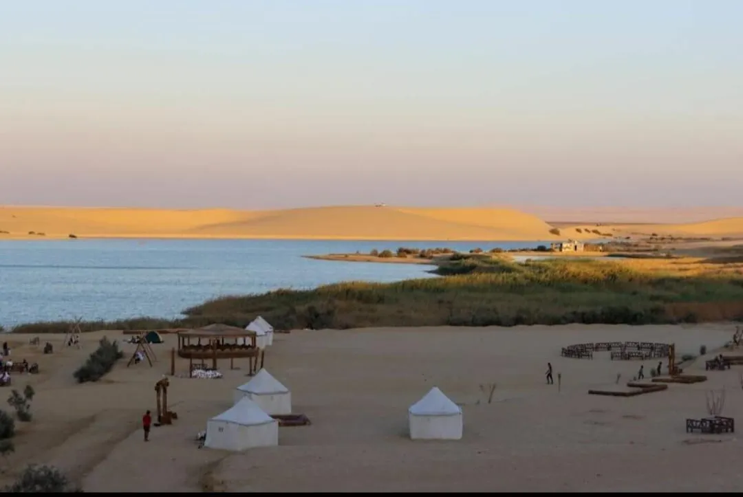 🏕️🌌 Fayoum Desert Camping Adventure | Overnight Experience -fayoum-desert-camping-adventure-overnight-experience/IMG-20260705-WA0132.jpg