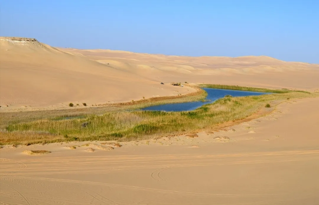 🌿🏜️ Fayoum Safari Adventure | Full-Day Desert Escape -fayoum-safari-adventure-full-day-desert-escape/IMG-20260705-WA0037.jpg