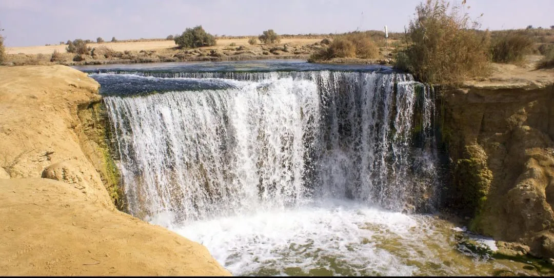 🌿🏜️ Fayoum Safari Adventure | Full-Day Desert Escape -fayoum-safari-adventure-full-day-desert-escape/IMG-20260705-WA0045.jpg