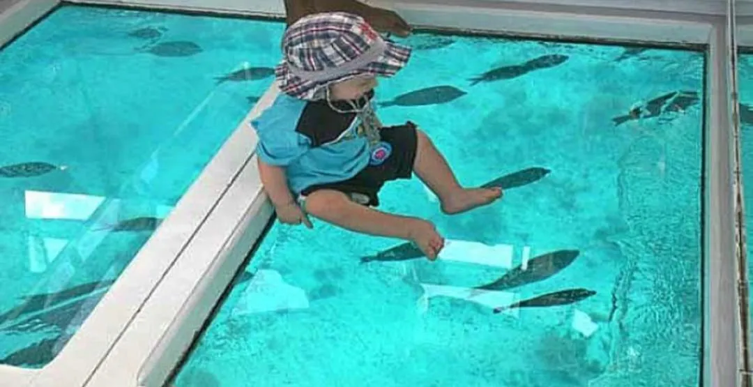 🚤✨ Glass Bottom Boat Adventure -glass-bottom-boat-adventure/IMG-20260704-WA0033.jpg