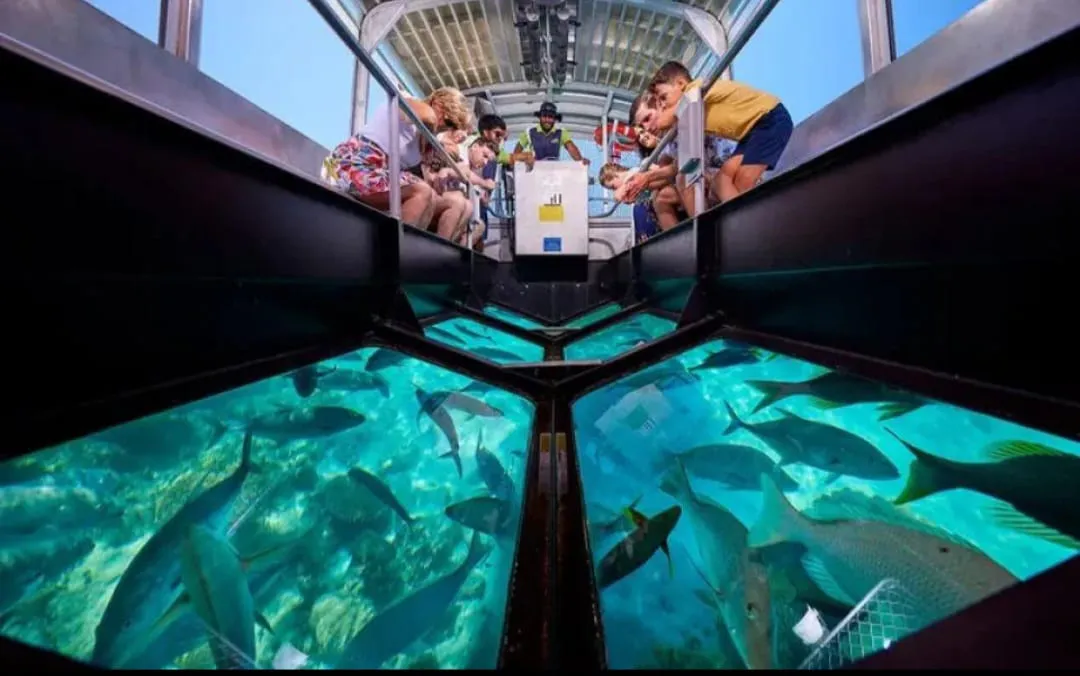 🚤✨ Glass Bottom Boat Adventure -glass-bottom-boat-adventure/IMG-20260704-WA0037.jpg