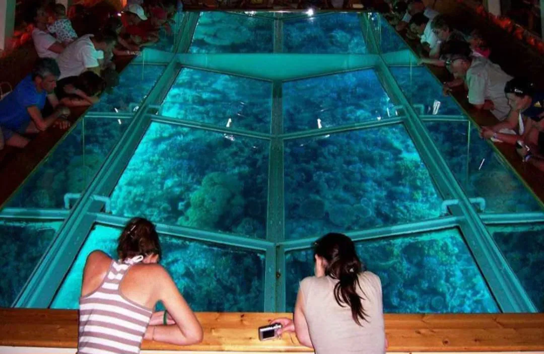 🚤✨ Glass Bottom Boat Adventure -glass-bottom-boat-adventure/IMG-20260704-WA0039.jpg