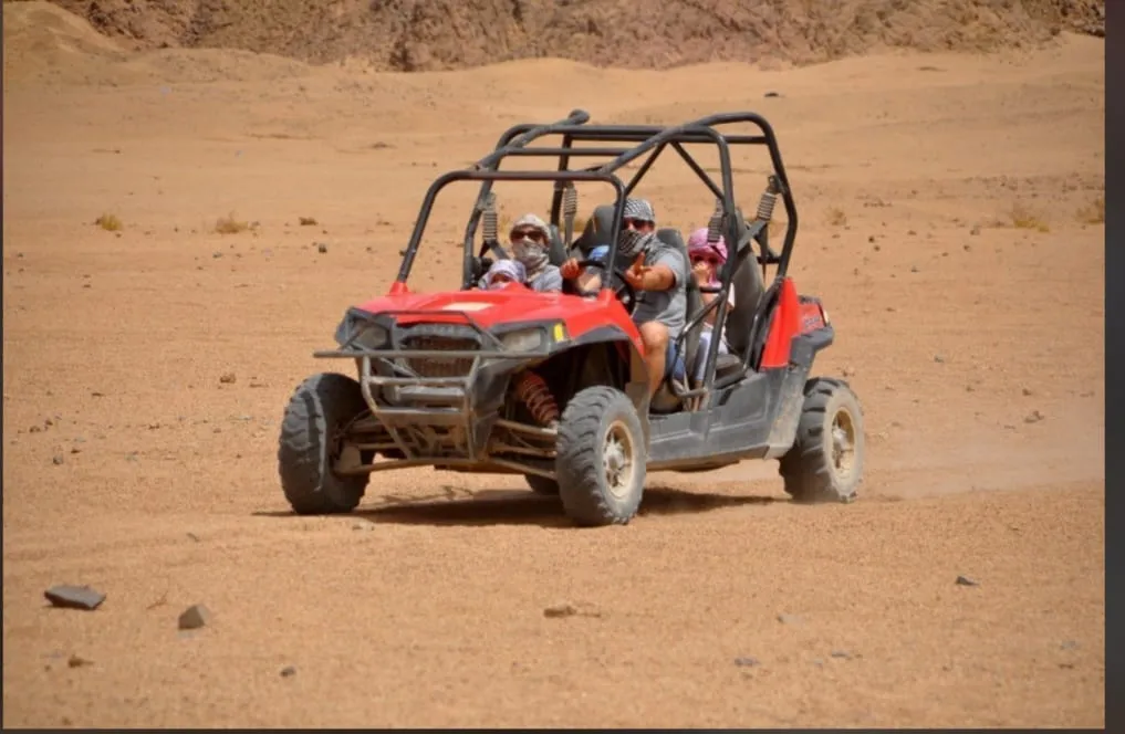 🏎️🏜️ Buggy Safari Adventure
