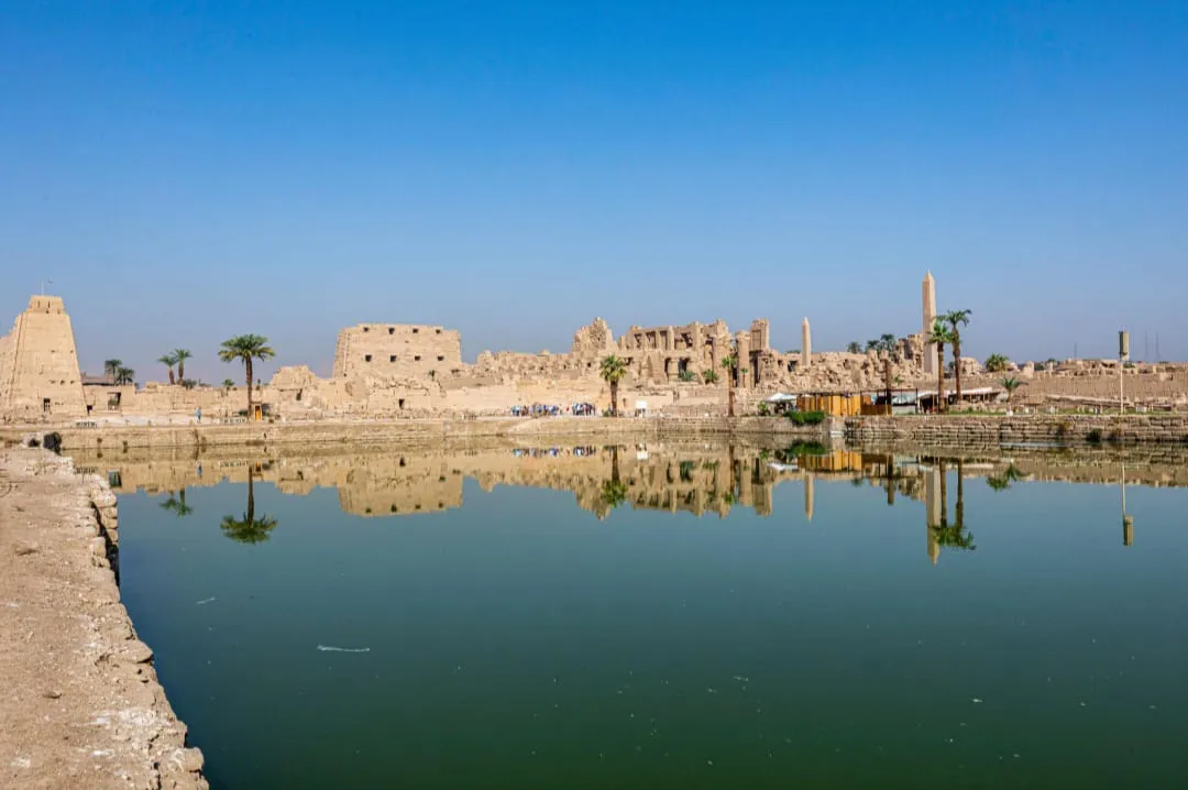 🏛️✨ Luxor Day Trip from Sharm El Sheikh by Bus ✨🏛️ -luxor-day-trip-from-sharm-el-sheikh-by-bus-/IMG-20260731-WA0006.jpg