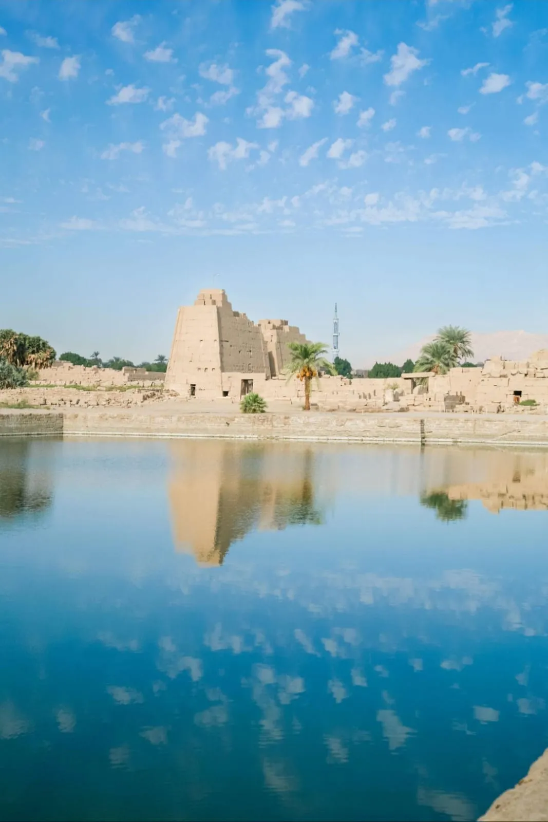 🏛️✨ Luxor Day Trip from Sharm El Sheikh by Bus ✨🏛️ -luxor-day-trip-from-sharm-el-sheikh-by-bus-/IMG-20260731-WA0008.jpg