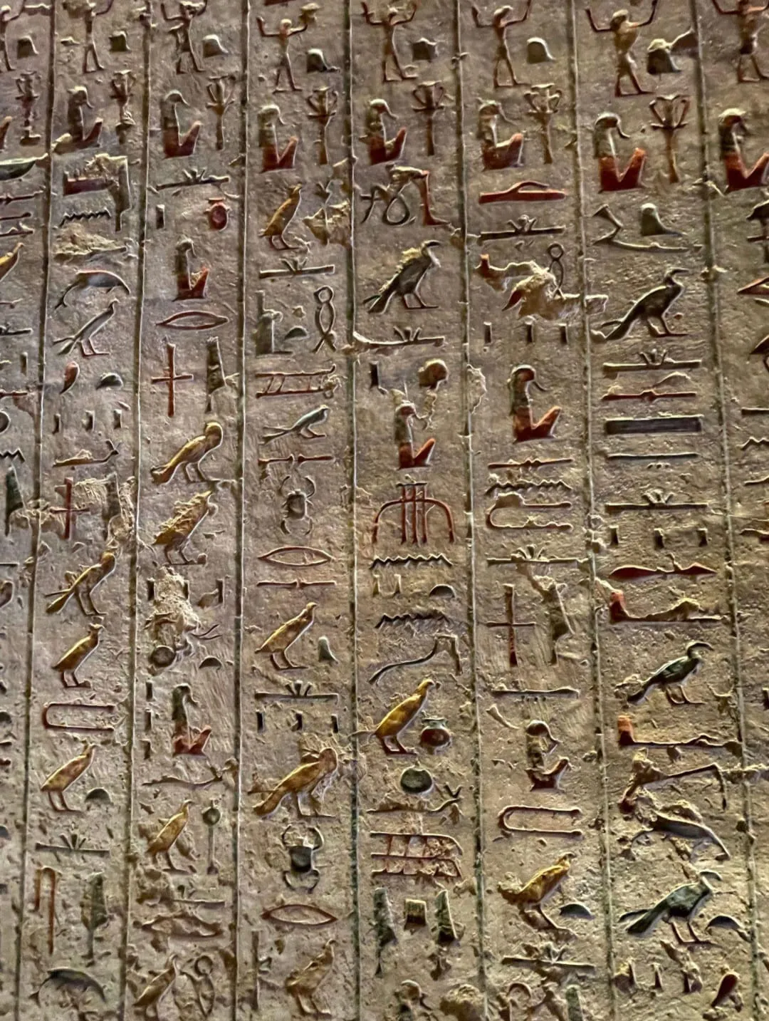 🏛️✨ Luxor Day Trip from Sharm El Sheikh by Bus ✨🏛️ -luxor-day-trip-from-sharm-el-sheikh-by-bus-/IMG-20260731-WA0010.jpg
