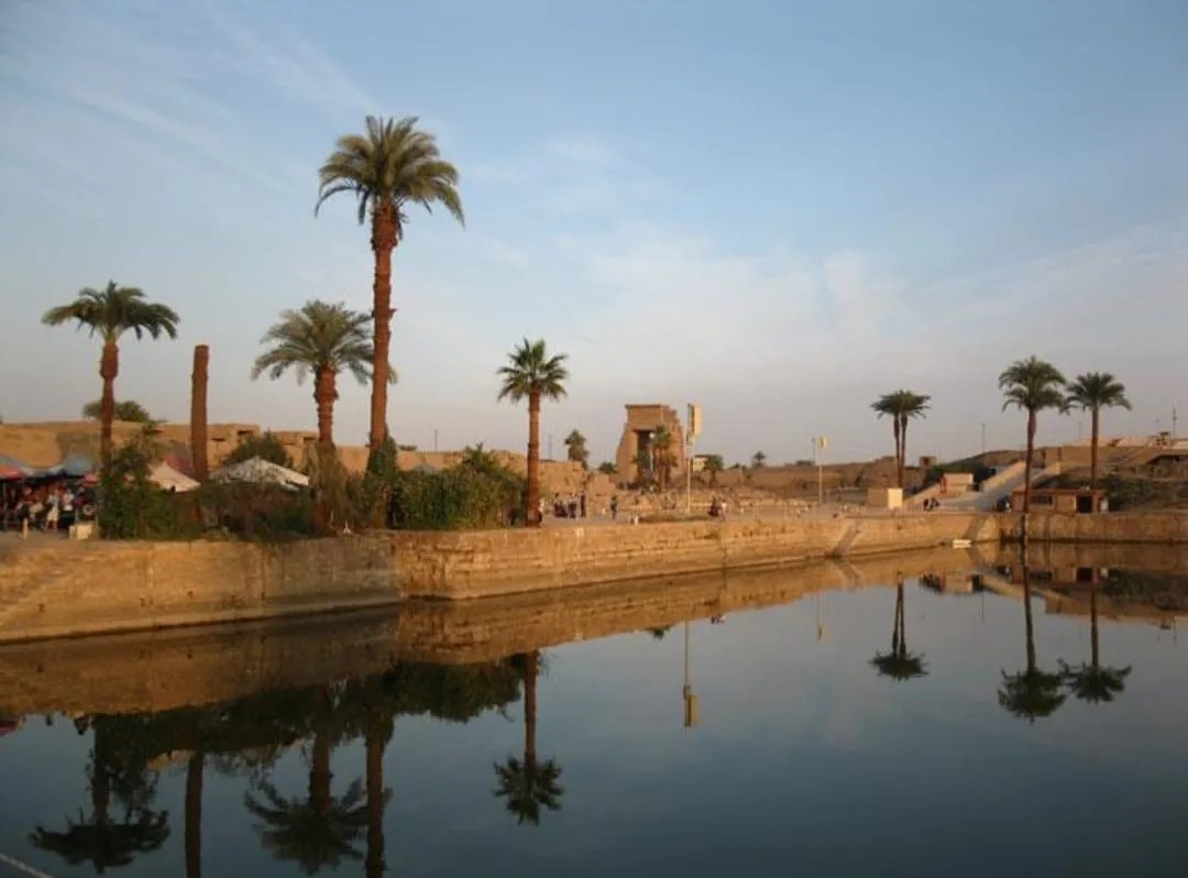 🏛️✨ Luxor Day Trip from Sharm El Sheikh by Bus ✨🏛️ -luxor-day-trip-from-sharm-el-sheikh-by-bus-/IMG-20260731-WA0012.jpg