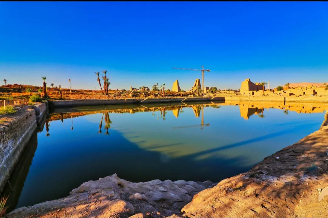 🏛️✨ Luxor Day Trip from Sharm El Sheikh by Bus ✨🏛️ -luxor-day-trip-from-sharm-el-sheikh-by-bus-/IMG-20260731-WA0014.jpg