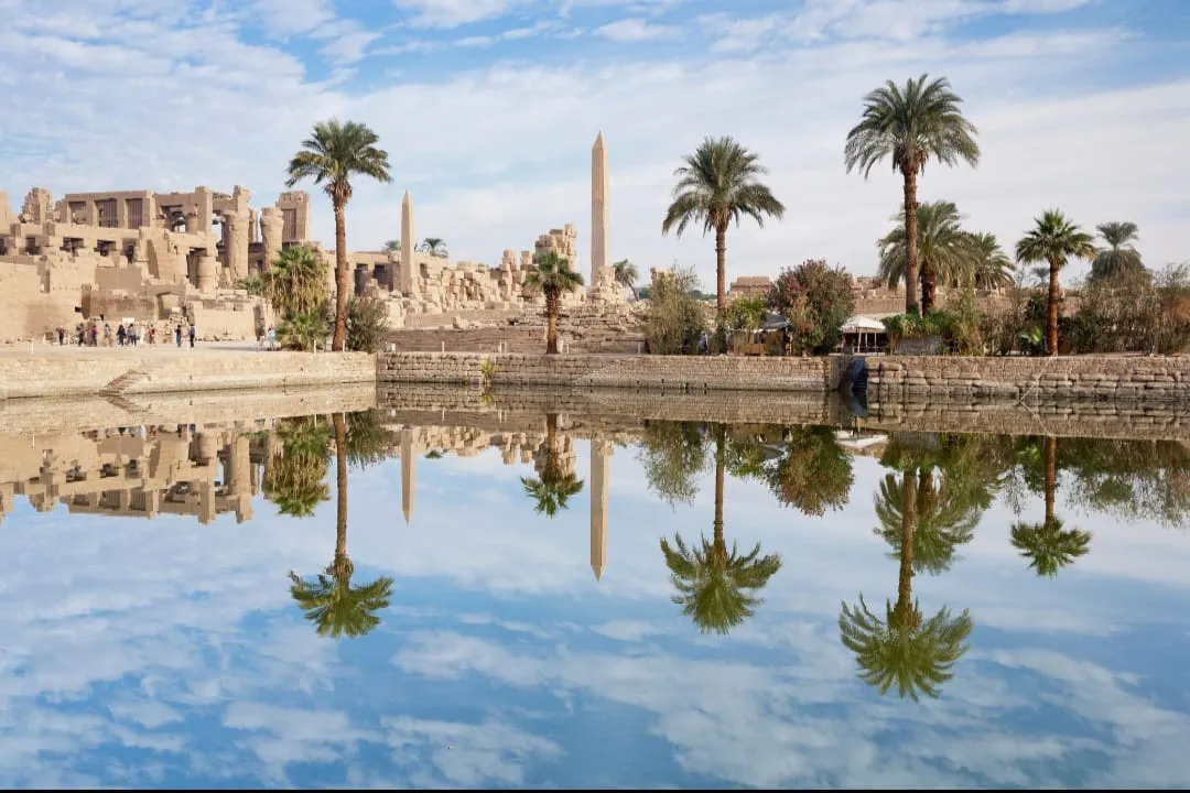 🏛️✨ Luxor Day Trip from Sharm El Sheikh by Bus ✨🏛️ -luxor-day-trip-from-sharm-el-sheikh-by-bus-/IMG-20260731-WA0015.jpg