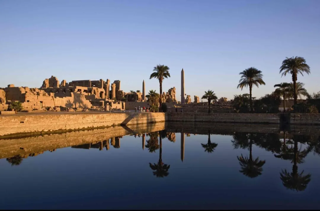 🏛️✨ Luxor Day Trip from Sharm El Sheikh by Bus ✨🏛️ -luxor-day-trip-from-sharm-el-sheikh-by-bus-/IMG-20260731-WA0016.jpg