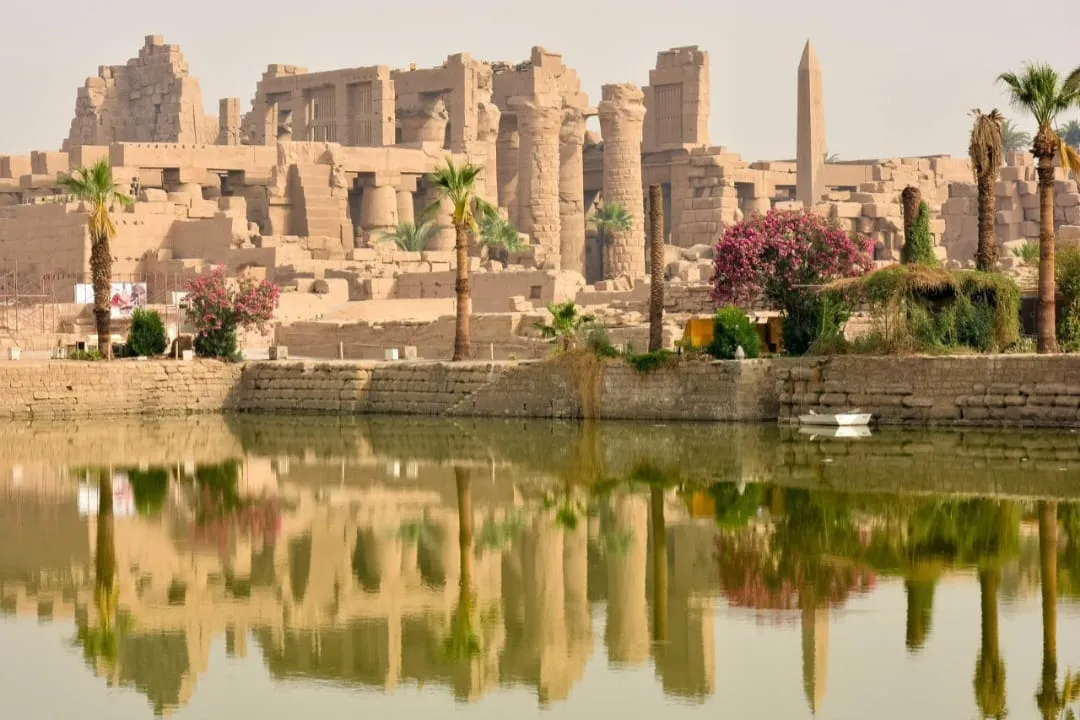 🏛️✨ Luxor Day Trip from Sharm El Sheikh by Bus ✨🏛️ -luxor-day-trip-from-sharm-el-sheikh-by-bus-/IMG-20260731-WA0017.jpg