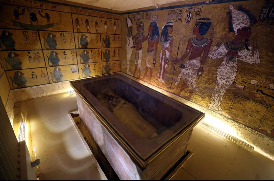 🏛️✨ Luxor Day Trip from Sharm El Sheikh by Bus ✨🏛️ -luxor-day-trip-from-sharm-el-sheikh-by-bus-/IMG-20260731-WA0020.jpg