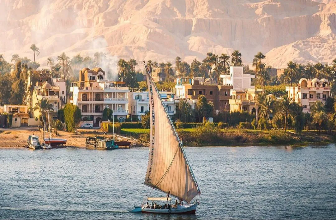 🏛️✨ Luxor Day Trip from Sharm El Sheikh by Bus ✨🏛️ -luxor-day-trip-from-sharm-el-sheikh-by-bus-/IMG-20260731-WA0027.jpg