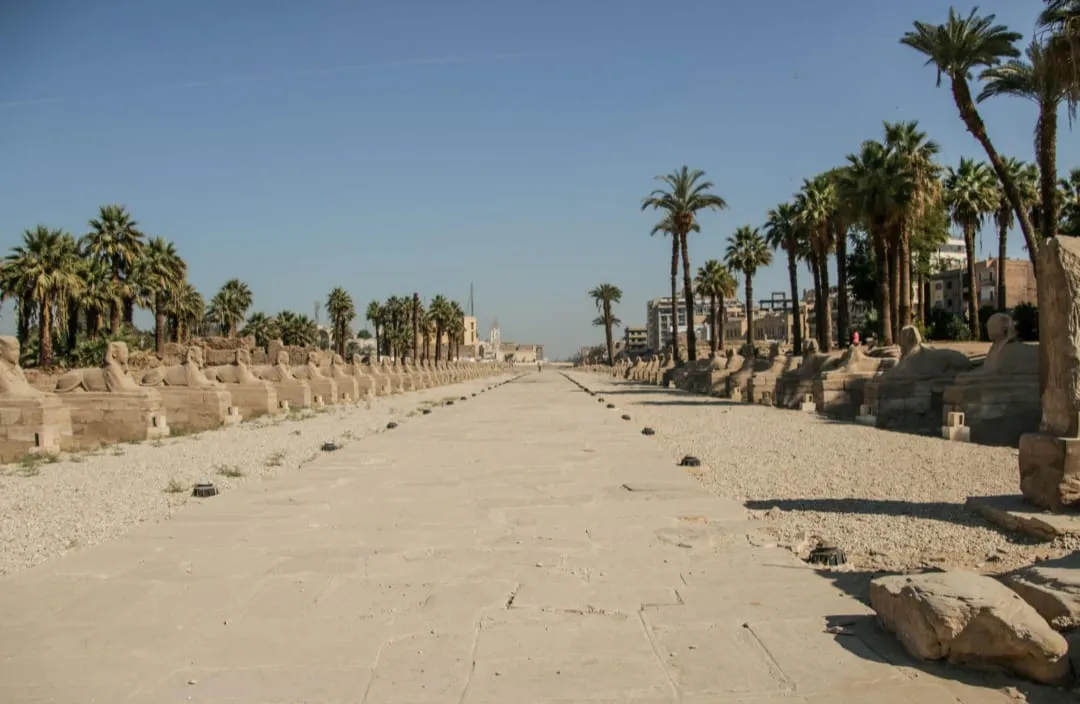 🏛️✨ Luxor Day Trip from Sharm El Sheikh by Bus ✨🏛️ -luxor-day-trip-from-sharm-el-sheikh-by-bus-/IMG-20260731-WA0028.jpg