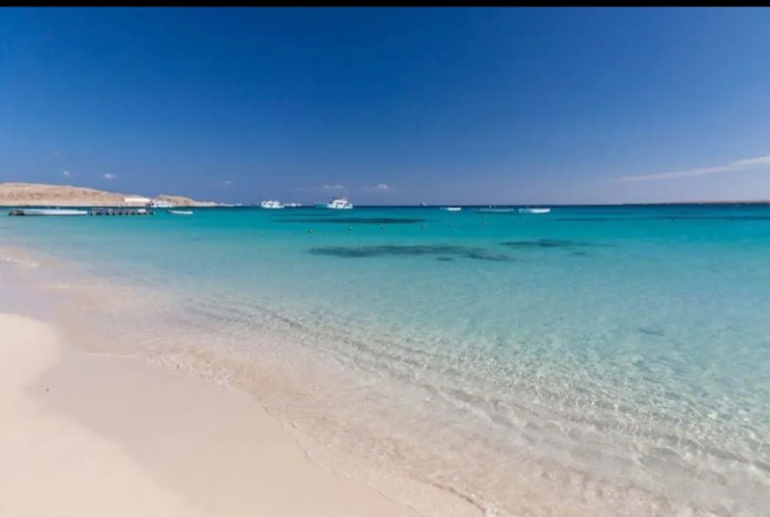 🏝️ MAHMYA ISLAND -mahmya-island/IMG-20260721-WA0036.jpg