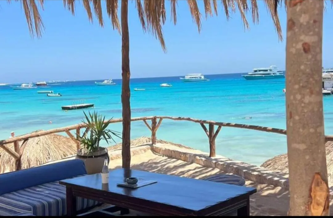 🏝️ MAHMYA ISLAND -mahmya-island/IMG-20260721-WA0056.jpg