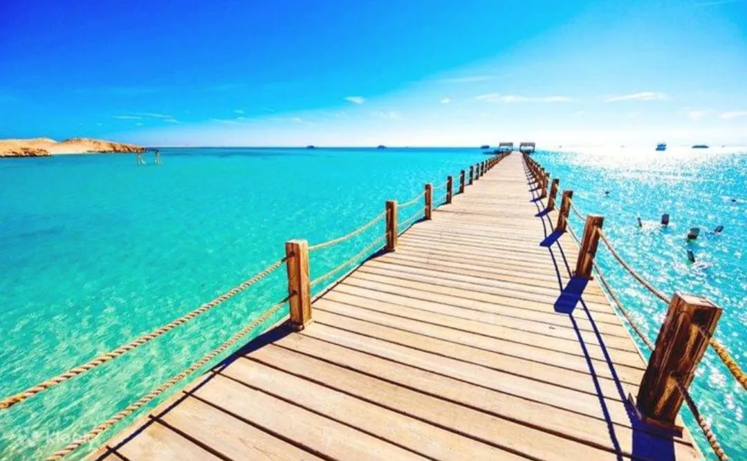 🏝️ OZIREA ISLAND -ozirea-island/IMG-20260721-WA0015.jpg