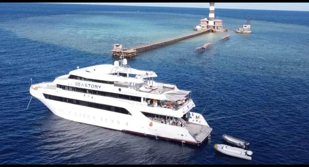 🐬✨ Sataya Dolphin Reef Trip – Marsa Alam 🌊🏝️ -sataya-dolphin-reef-trip-marsa-alam-/IMG-20260702-WA0147.jpg