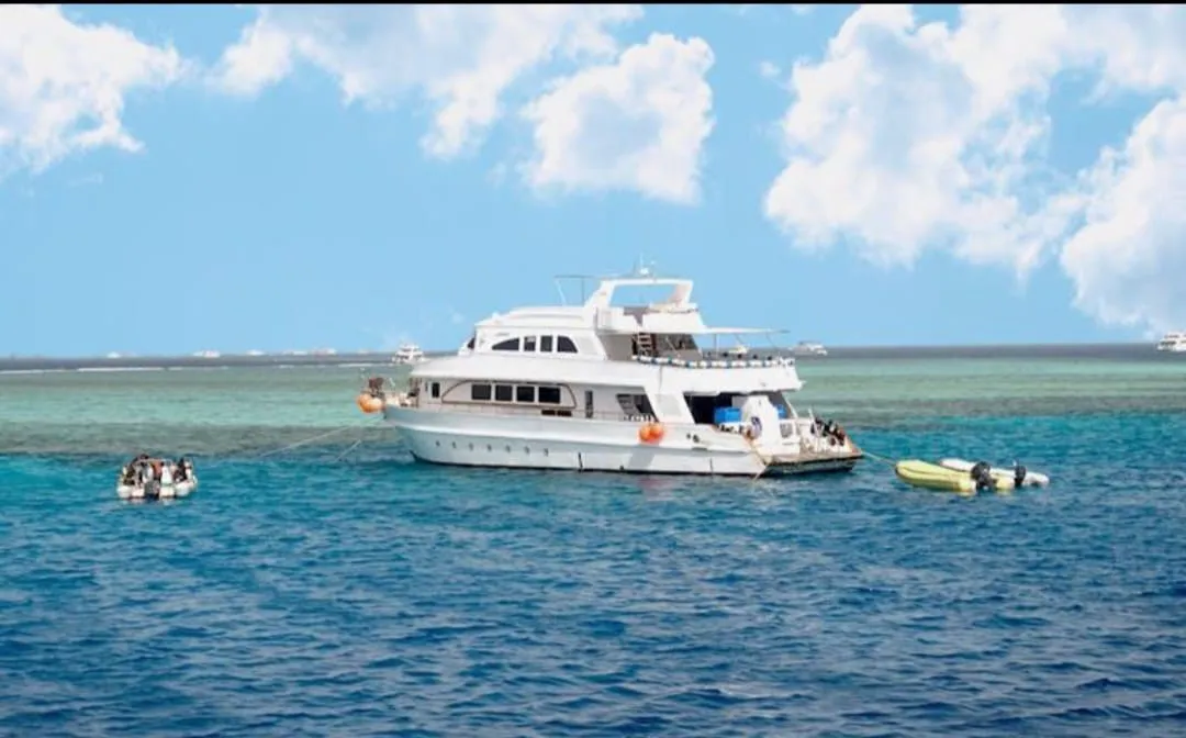 🐬✨ Sataya Dolphin Reef Trip – Marsa Alam 🌊🏝️ -sataya-dolphin-reef-trip-marsa-alam-/IMG-20260702-WA0148.jpg