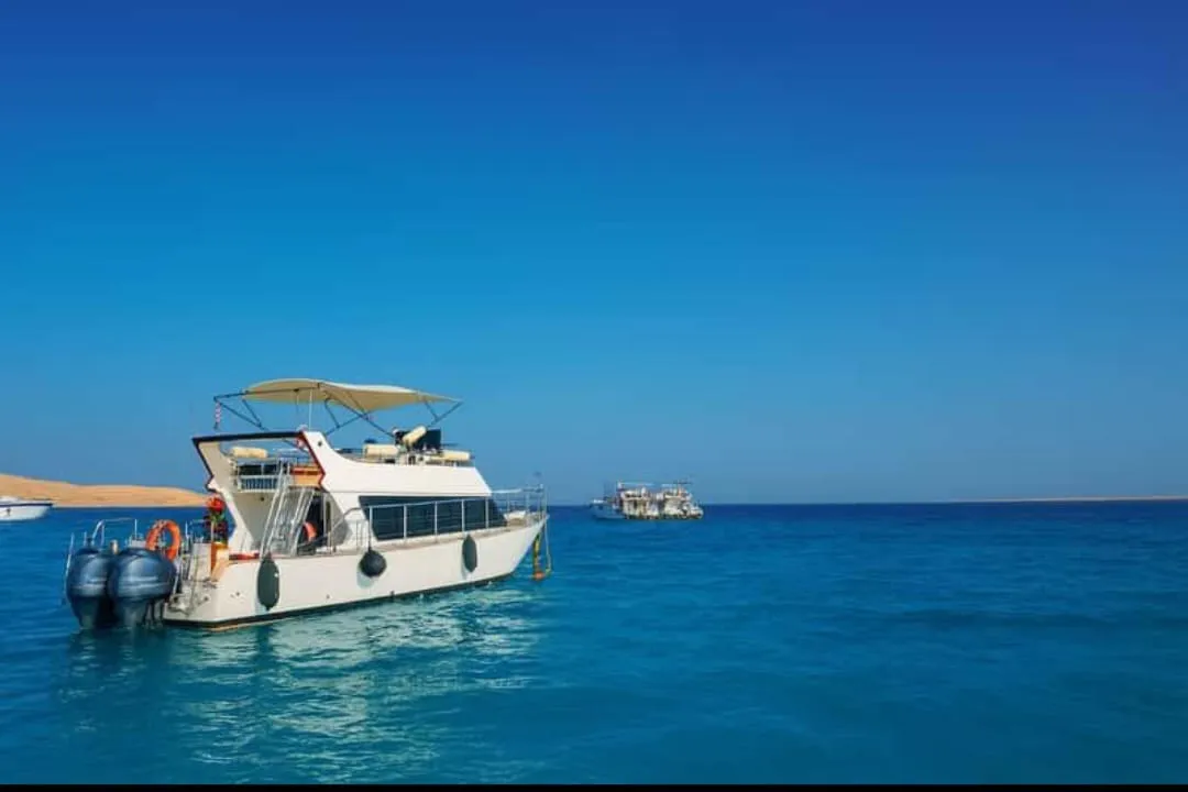 🐬✨ Sataya Dolphin Reef Trip – Marsa Alam 🌊🏝️ -sataya-dolphin-reef-trip-marsa-alam-/IMG-20260702-WA0149.jpg