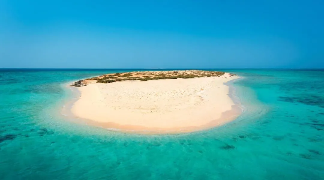 🐬✨ Sataya Dolphin Reef Trip – Marsa Alam 🌊🏝️ -sataya-dolphin-reef-trip-marsa-alam-/IMG-20260702-WA0152.jpg