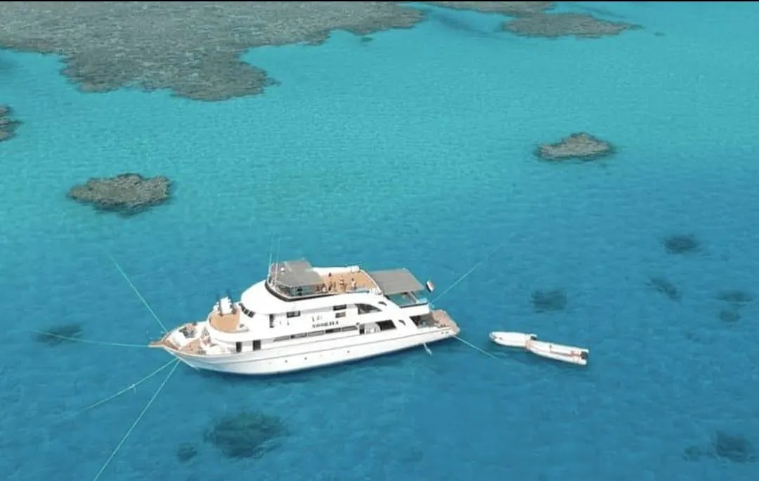 🐬✨ Sataya Dolphin Reef Trip – Marsa Alam 🌊🏝️ -sataya-dolphin-reef-trip-marsa-alam-/IMG-20260702-WA0153.jpg