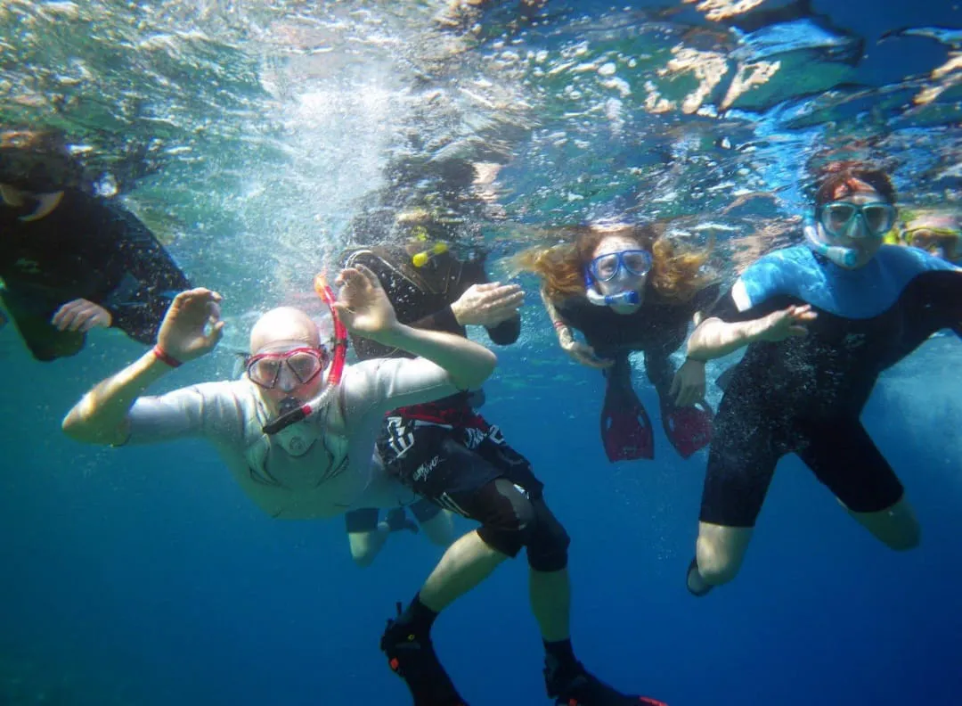 🐬✨ Sataya Dolphin Reef Trip – Marsa Alam 🌊🏝️ -sataya-dolphin-reef-trip-marsa-alam-/IMG-20260702-WA0161.jpg