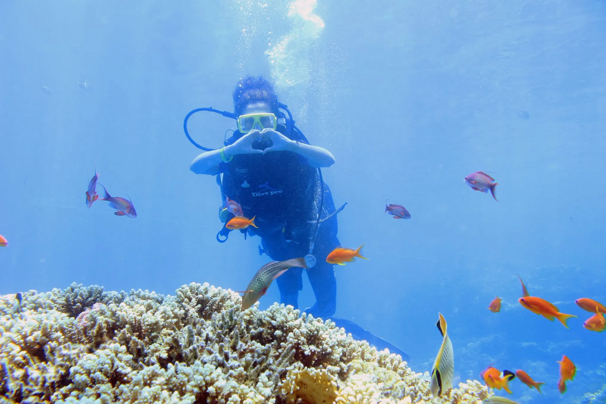 🤿 Sharm El Sheikh Tour Intro Diving Experience -sharm-el-sheikh-tour-intro-diving-experience/IMG-20260608-WA0018.jpg