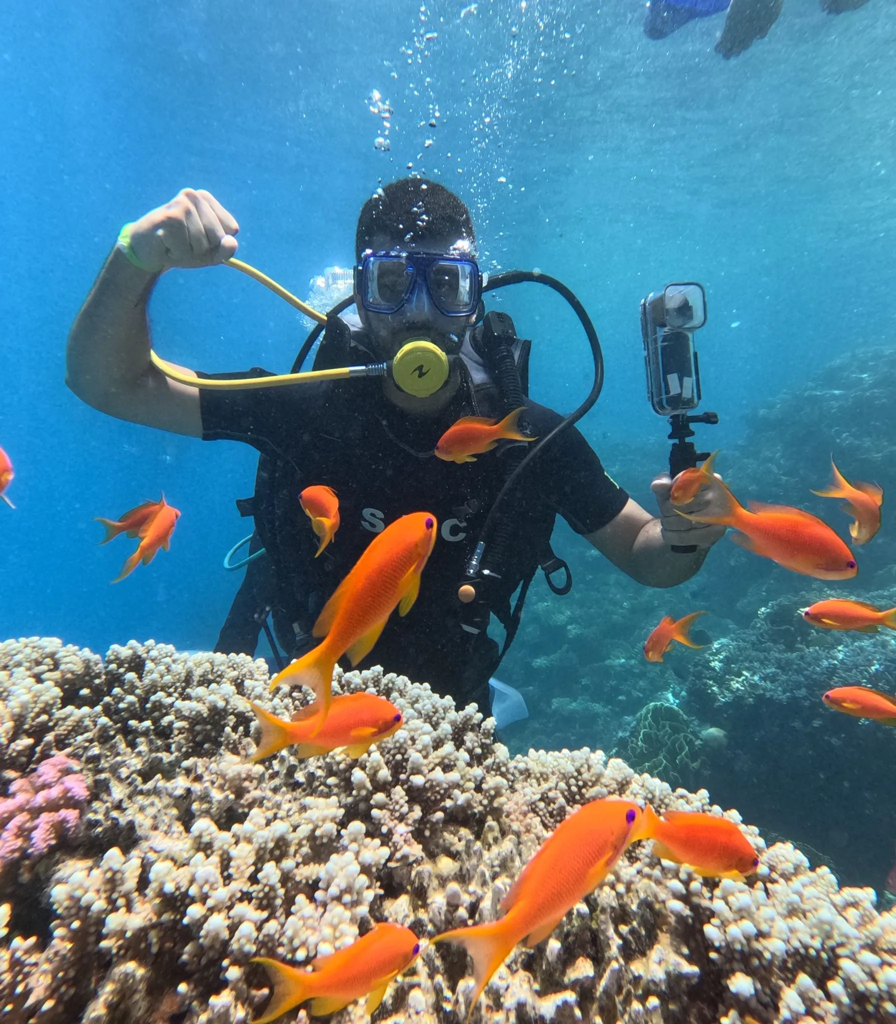 🤿 Sharm El Sheikh Tour Intro Diving Experience -sharm-el-sheikh-tour-intro-diving-experience/IMG-20260608-WA0019.jpg