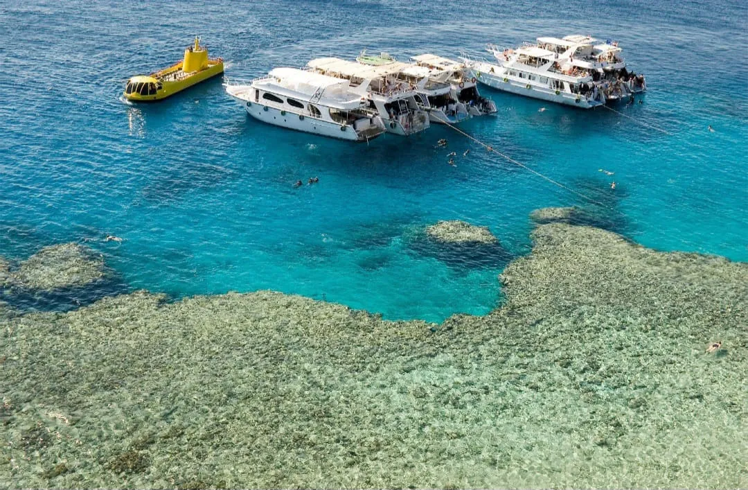 🤿 Sharm El Sheikh Tour Intro Diving Experience -sharm-el-sheikh-tour-intro-diving-experience/IMG-20260703-WA0194.jpg