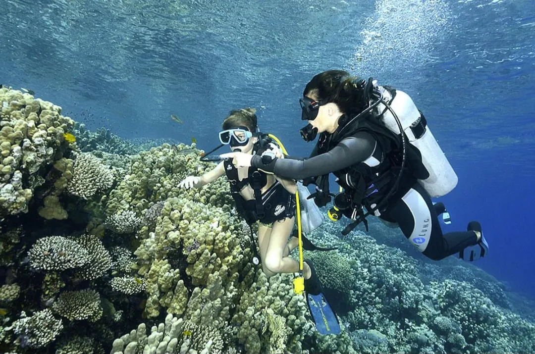 🤿 Sharm El Sheikh Tour Intro Diving Experience -sharm-el-sheikh-tour-intro-diving-experience/IMG-20260703-WA0200.jpg