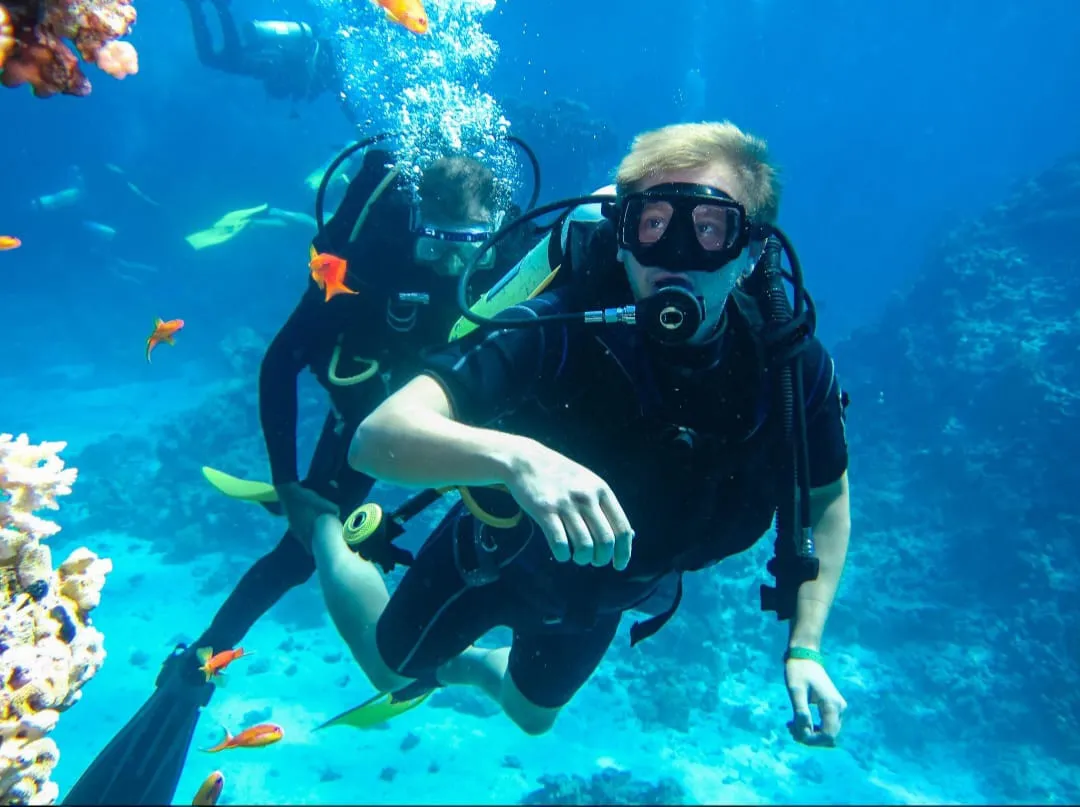 🤿 Sharm El Sheikh Tour Intro Diving Experience -sharm-el-sheikh-tour-intro-diving-experience/IMG-20260703-WA0206.jpg