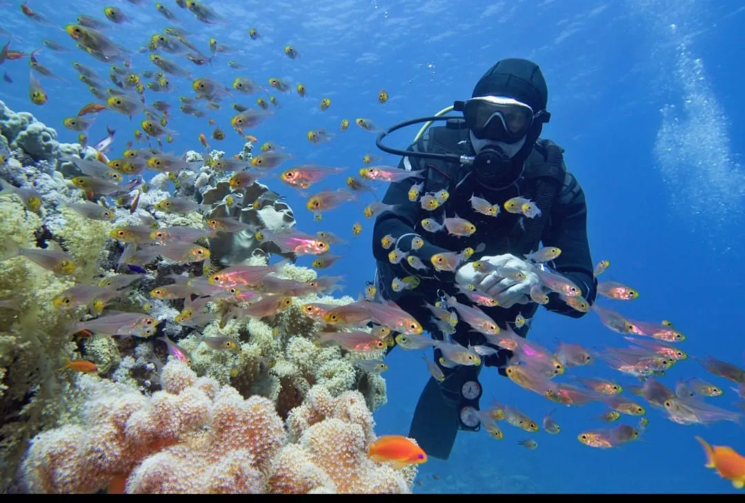 🤿 Sharm El Sheikh Tour Intro Diving Experience -sharm-el-sheikh-tour-intro-diving-experience/IMG-20260703-WA0207.jpg