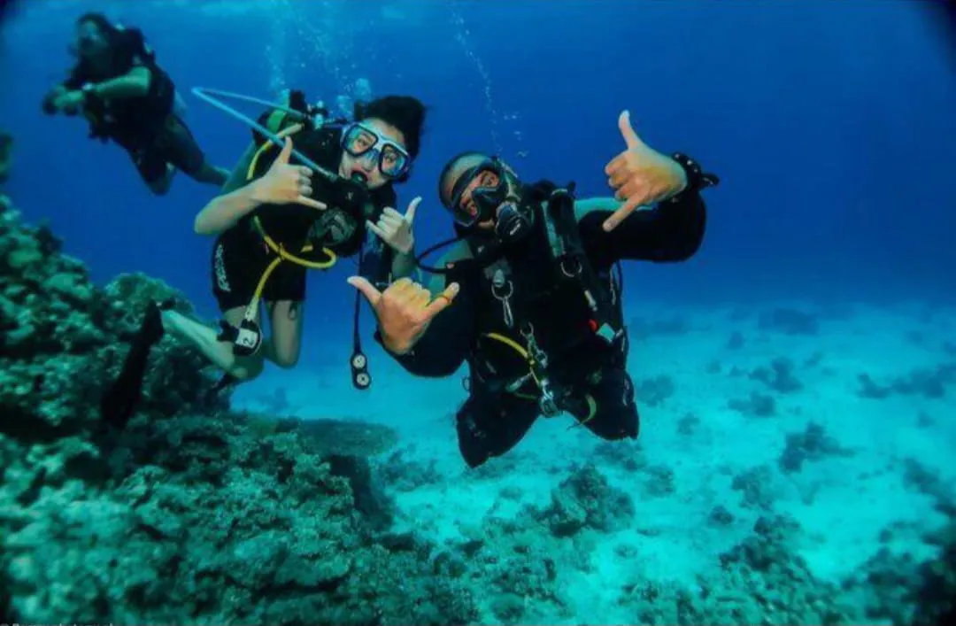 🤿 Sharm El Sheikh Tour Intro Diving Experience -sharm-el-sheikh-tour-intro-diving-experience/IMG-20260703-WA0208.jpg