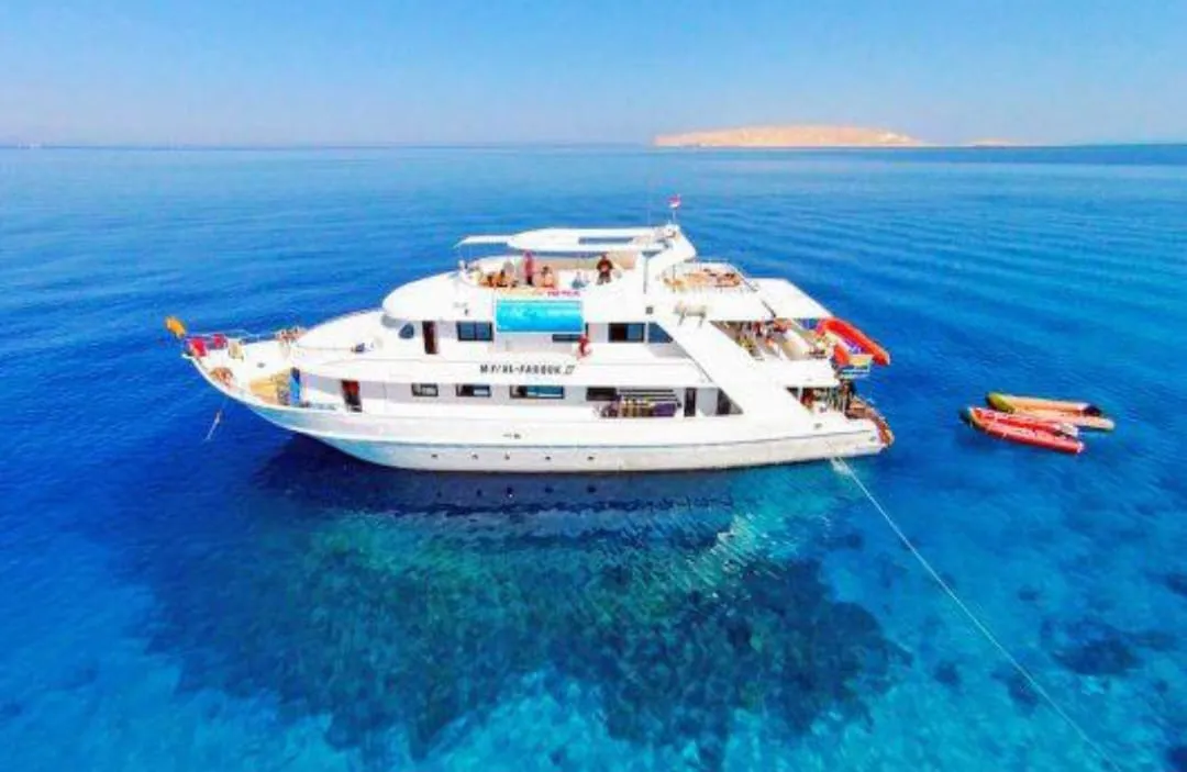 🤿 Sharm El Sheikh Tour Intro Diving Experience -sharm-el-sheikh-tour-intro-diving-experience/IMG-20260703-WA0209.jpg