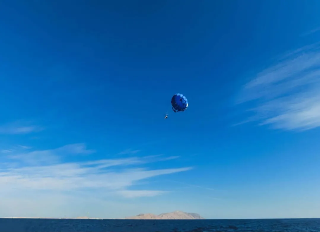 🪂 Sharm El Sheikh Tour Parasailing Adventure -sharm-el-sheikh-tour-parasailing-adventure/IMG-20260703-WA0175.jpg