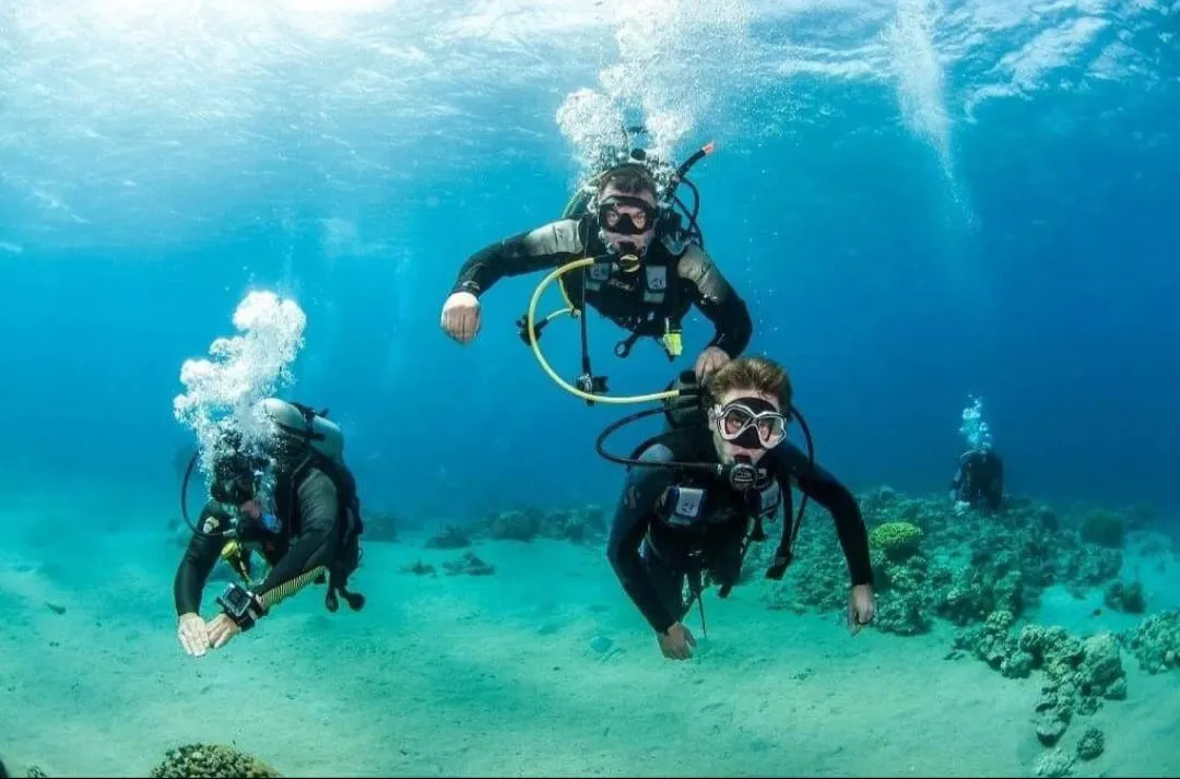 🤿 Sharm El Sheikh Tour Intro Diving Experience