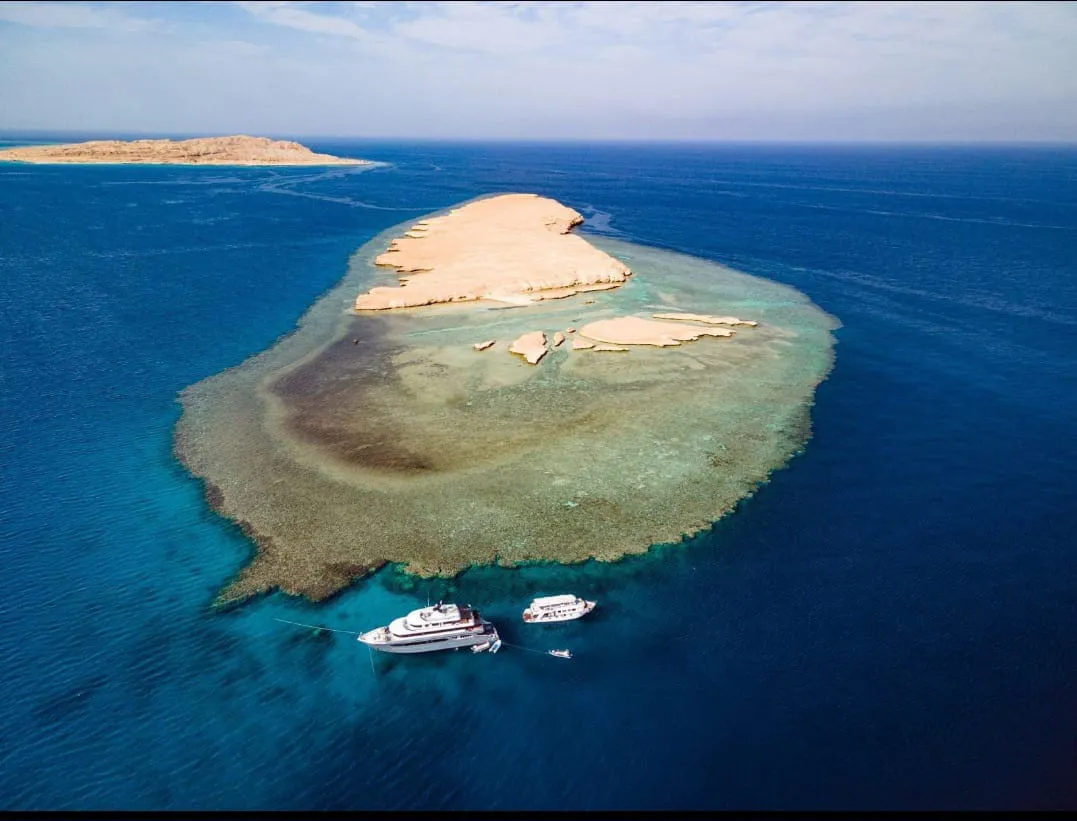 🏝️ Sharm El Sheikh Tour Tiran Island Snorkeling & Luxury Yacht Experience -sharm-el-sheikh-tour-tiran-island-snorkeling-luxury-yacht-experience/IMG-20260704-WA0010.jpg