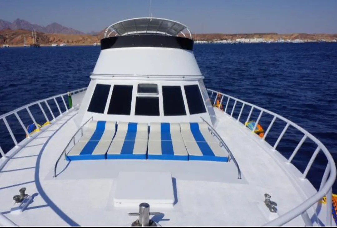 🏝️ Sharm El Sheikh Tour Tiran Island Snorkeling & Luxury Yacht Experience -sharm-el-sheikh-tour-tiran-island-snorkeling-luxury-yacht-experience/IMG-20260704-WA0012.jpg