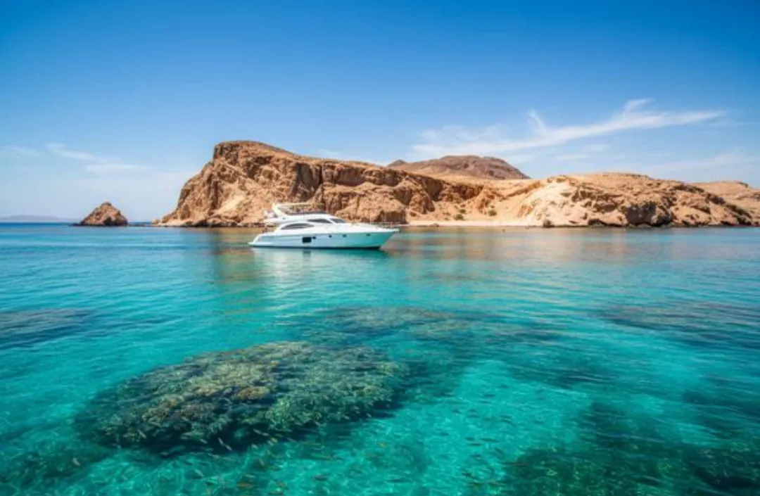 🏝️ Sharm El Sheikh Tour Tiran Island Snorkeling & Luxury Yacht Experience -sharm-el-sheikh-tour-tiran-island-snorkeling-luxury-yacht-experience/IMG-20260704-WA0015.jpg