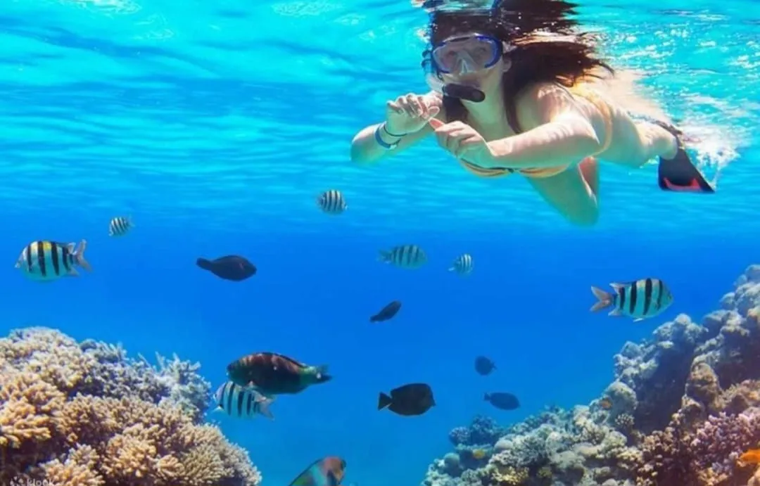 🏝️ Sharm El Sheikh Tour Tiran Island Snorkeling & Luxury Yacht Experience -sharm-el-sheikh-tour-tiran-island-snorkeling-luxury-yacht-experience/IMG-20260704-WA0019.jpg