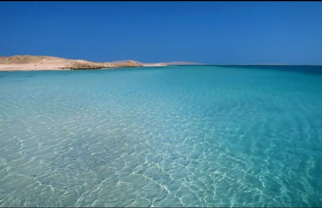 🏝️ Sharm El Sheikh Tour Tiran Island Snorkeling & Luxury Yacht Experience -sharm-el-sheikh-tour-tiran-island-snorkeling-luxury-yacht-experience/IMG-20260704-WA0021.jpg
