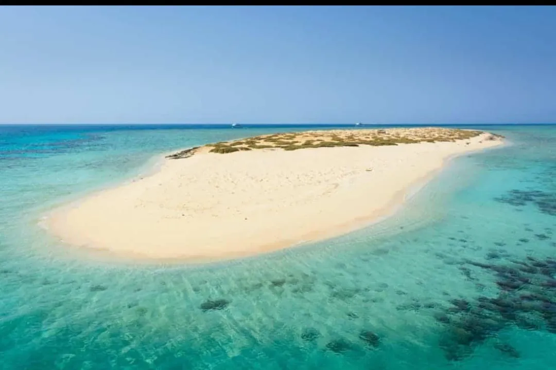 🏝️ Sharm El Sheikh Tour Tiran Island Snorkeling & Luxury Yacht Experience -sharm-el-sheikh-tour-tiran-island-snorkeling-luxury-yacht-experience/IMG-20260704-WA0026.jpg
