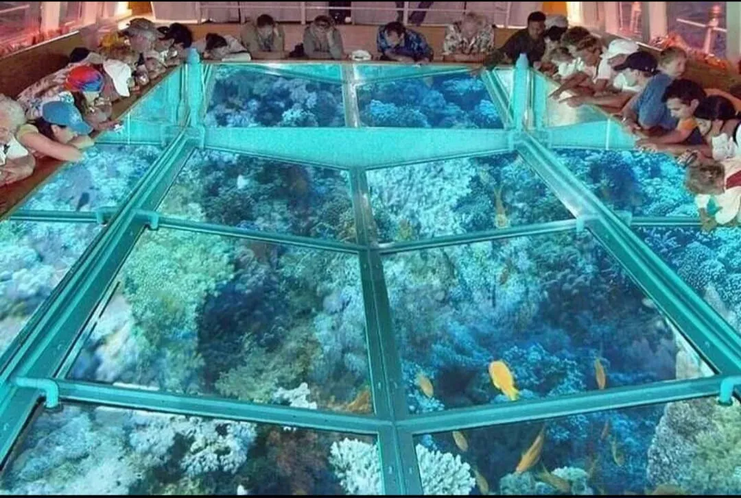 🚤✨ Glass Bottom Boat Adventure