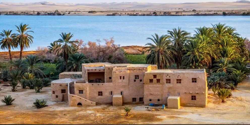 🌴✨ Siwa Oasis 4 Days / 3 Nights Program ✨🏜️ -siwa-oasis-4-days-3-nights-program-/IMG-20260705-WA0015.jpg