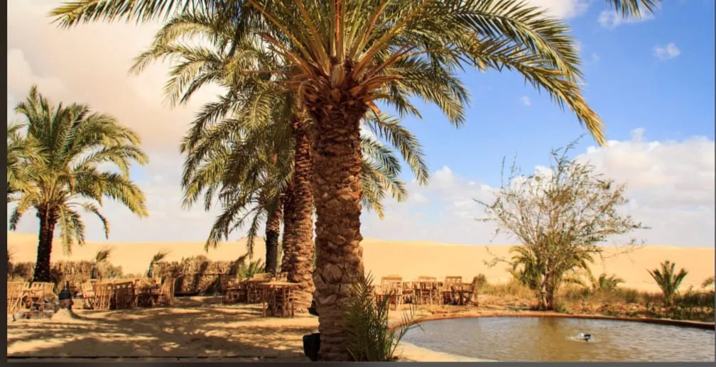 🌴✨ Siwa Oasis 4 Days / 3 Nights Program ✨🏜️ -siwa-oasis-4-days-3-nights-program-/IMG-20260705-WA0016.jpg